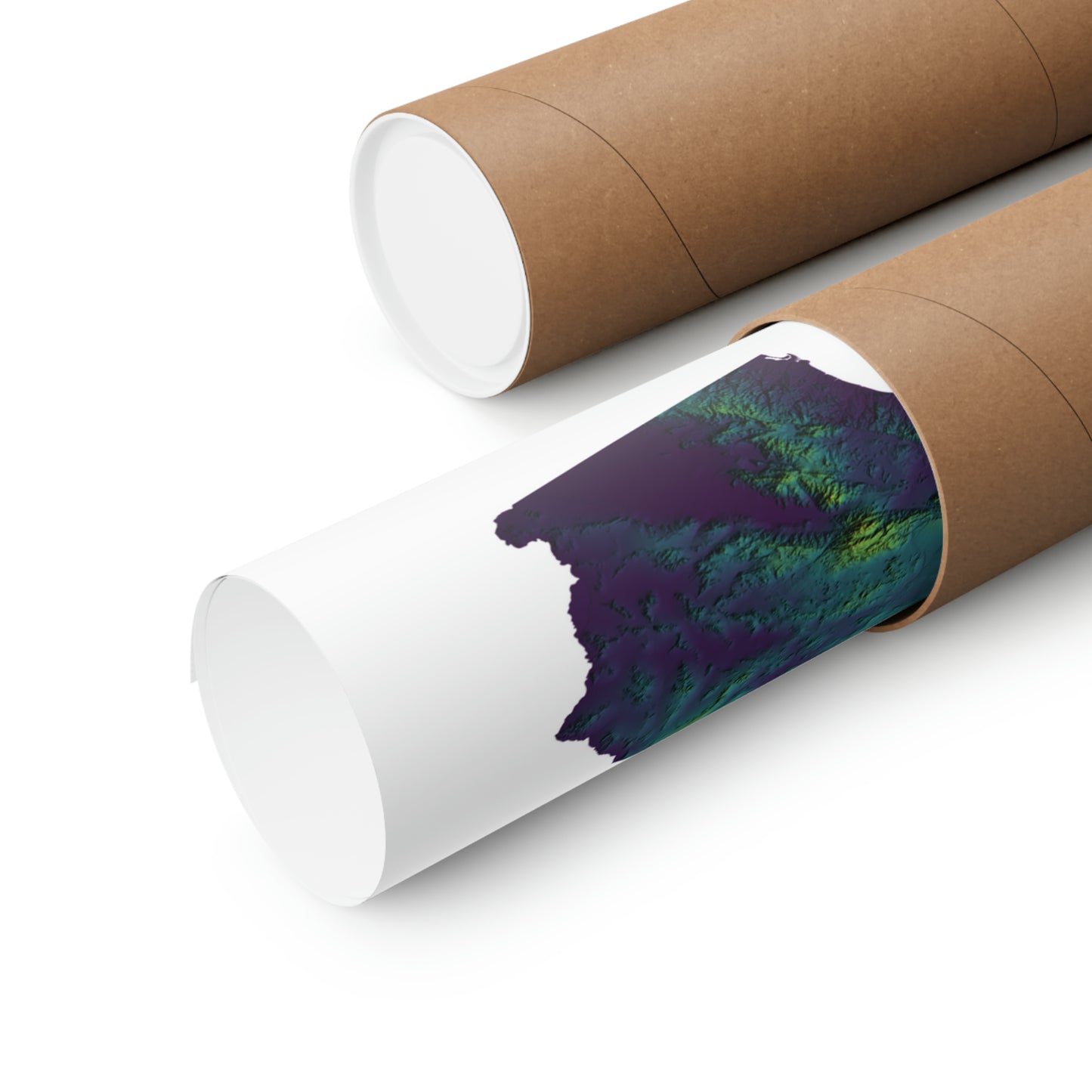 California Elevation Map Poster