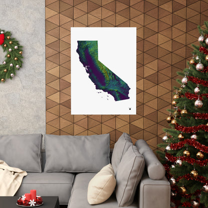 California Elevation Map Poster