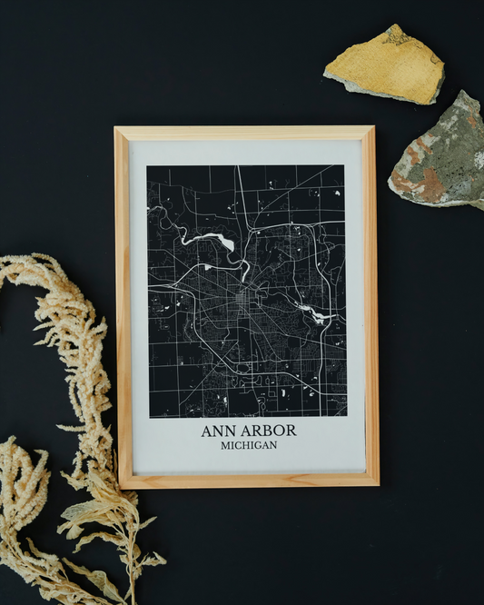 Ann Arbor Michigan Map Print